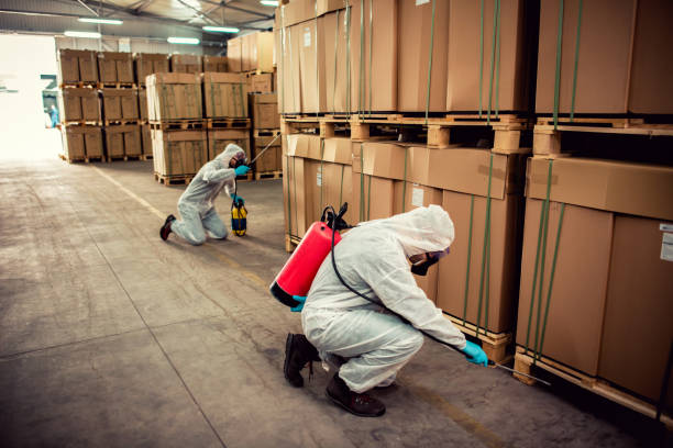 Pest Control for Restaurants in Lakeside, CA
