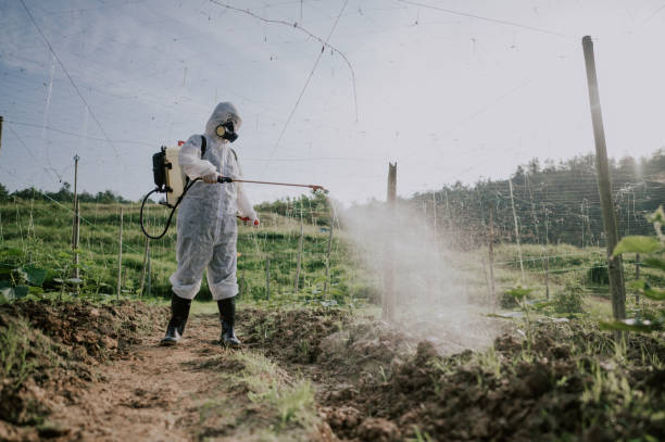 Best Mosquito Control Services  in Lakeside, CA